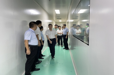 政府關懷