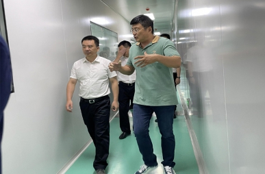 政府關懷