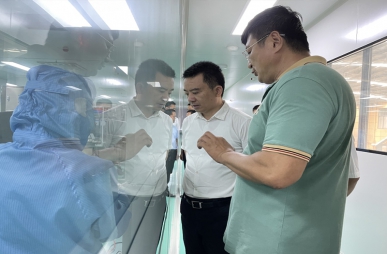 政府關懷